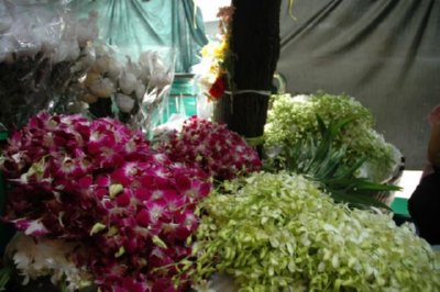 COMERCIO - FLORES (5)